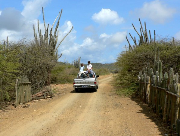 15- Visite en pickup de Bonaire 